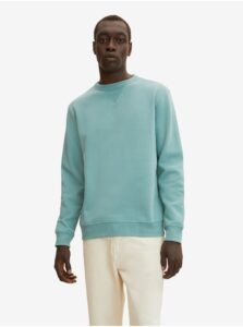 Turquoise Men's Basic Sweater Tom