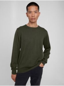 Dark Green Sweater Blend Nolen