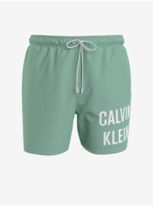 Light Green Mens Swimwear Calvin Klein