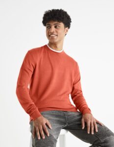 Celio Smooth Sweater Befirst