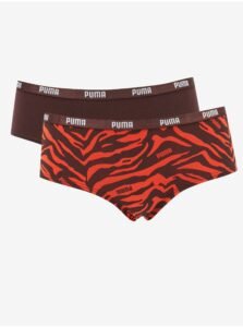 Set of two women's panties in brown and red