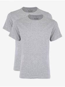 Set of two men's basic T-shirts in light