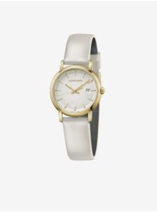 Established Watches Calvin Klein