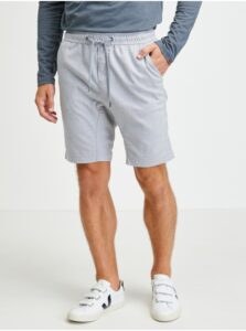 Light Grey Men's Shorts Ragwear