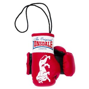 Lonsdale Miniature boxing
