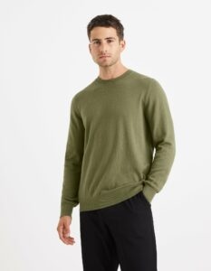 Celio Sweater Vecrewflex -