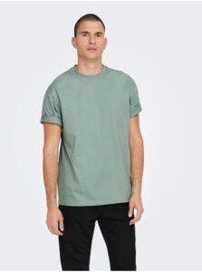 Green men's basic T-shirt ONLY &