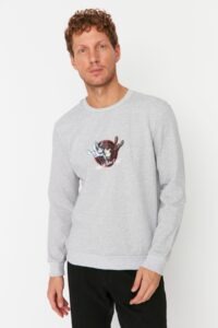 Trendyol Sweatshirt - Gray -