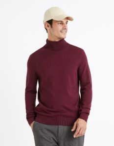 Celio Sweater with turtleneck Cerouley