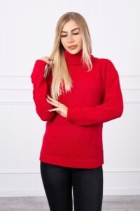 Sweater with turtleneck in