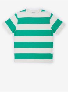 White and Green Boys Striped T-Shirt