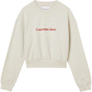 Calvin Klein J20J218165ACF