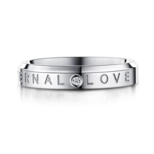 Stainless steel ring -