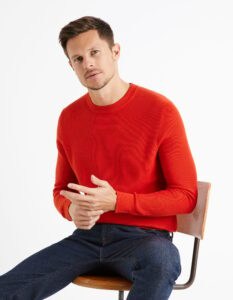 Celio Sweater Bepic with round